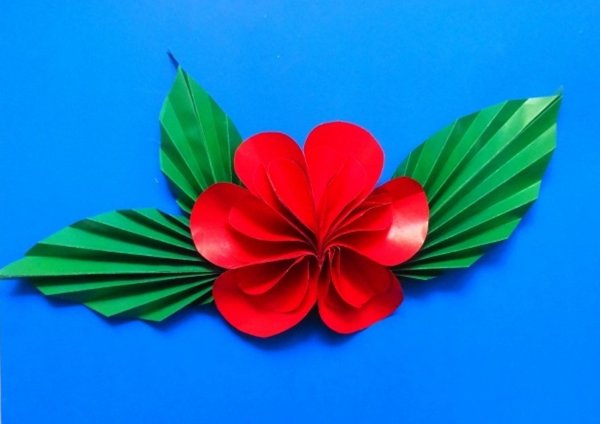 Цветы из цветной бумаги