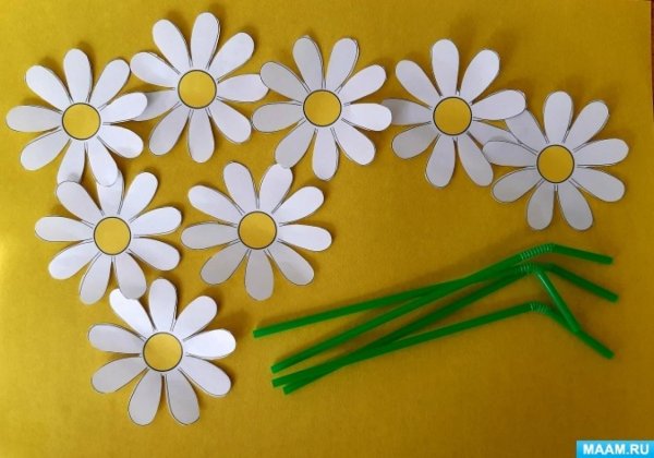 Объемные ромашки