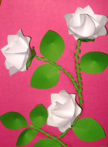 Объемные аппликации цветов из бумаги