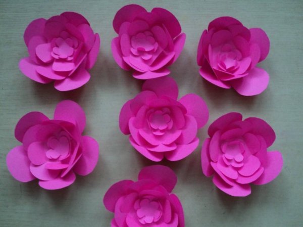 Аппликация из бумаги цветы объемные
