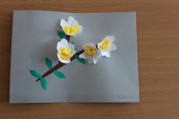 Аппликация веточка яблони подготовительная группа