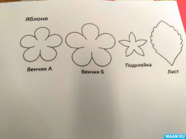 Цветы яблони для аппликации