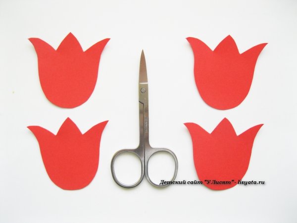 Заготовка тюльпана из бумаги