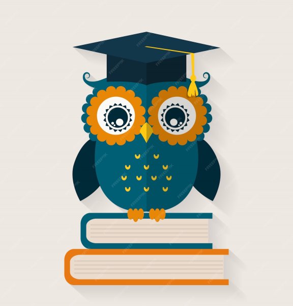 Мудрая Сова