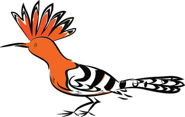 Cartoon Hoopoe