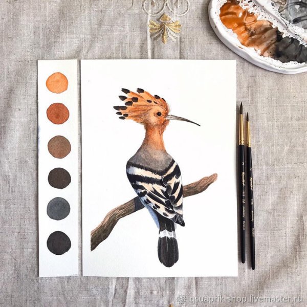 Удод картина