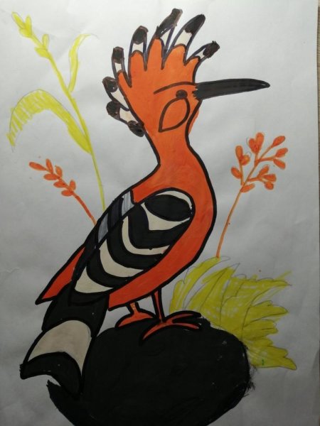 Удод рисунок