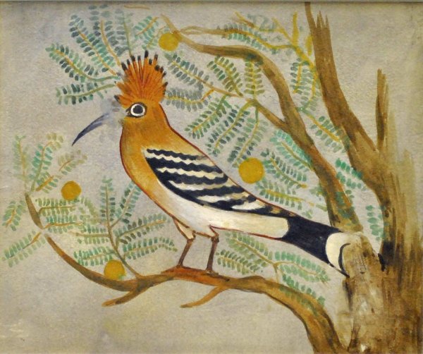 Удод древний Египет