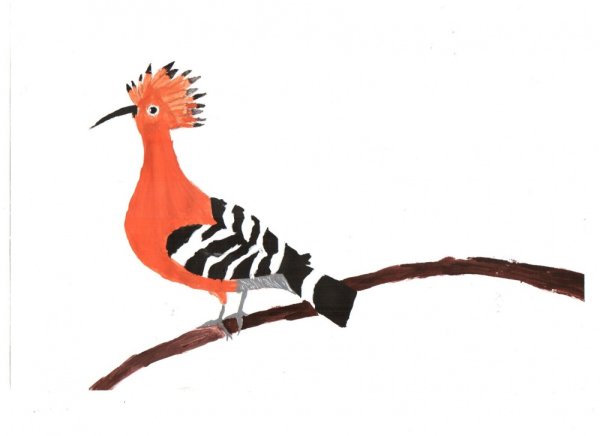 Удод для детей