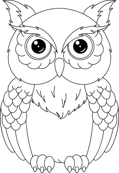 Раскраска Сова для детей 5-6 лет