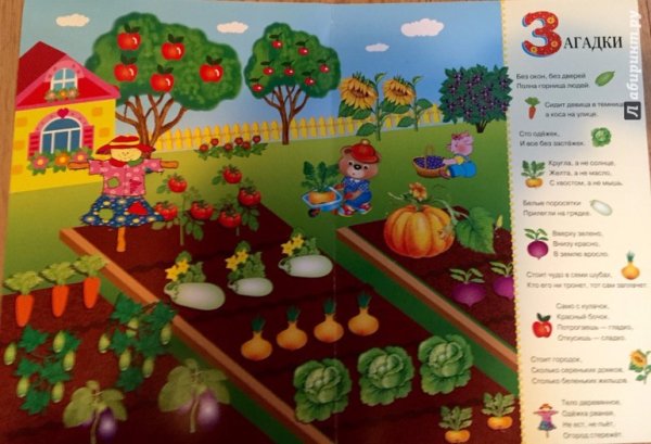 Огород с овощами для детей