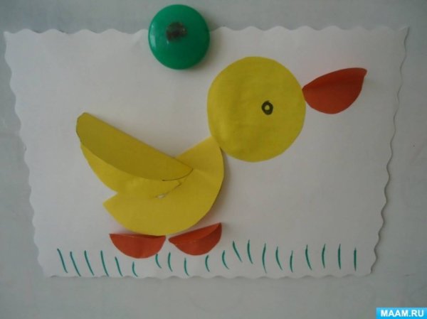 Аппликация утка с утятами в средней группе