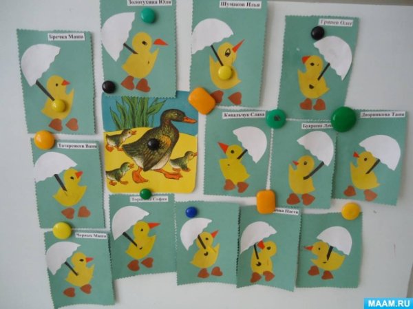 Аппликаациядомашние птицы