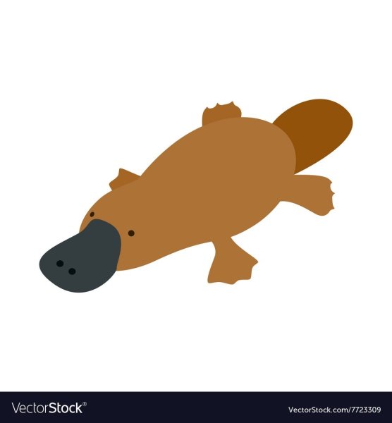 Утконос мультяшный