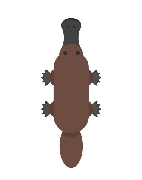 Утконос клипарт на прозрачном фоне