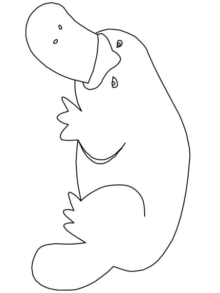 Утконос рисунок