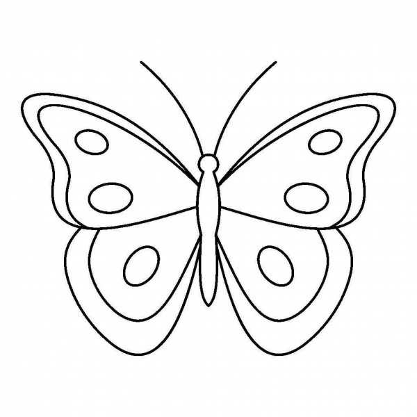 Трафарет бабочки для вырезания