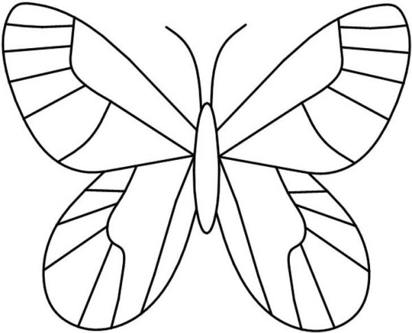 Шаблон бабочки