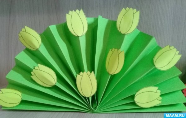 Тюльпаны веером