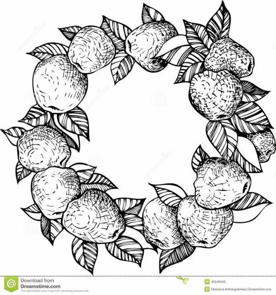 Венок яблоки вектор