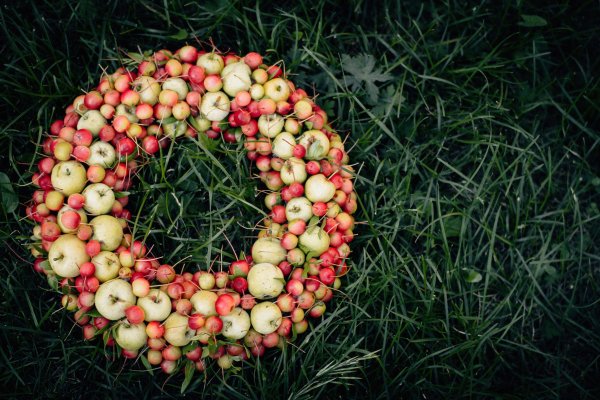 Венок из яблок