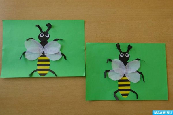 Аппликация насекомые средняя группа