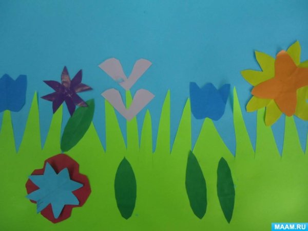 Аппликация цветы луговые старшая группа