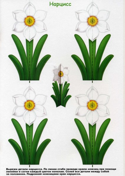 Шаблоны цветов для поделок из бумаги