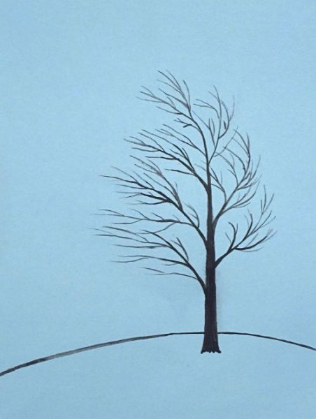 Силуэт дерева без листьев