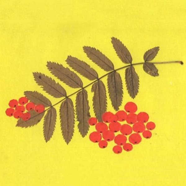Аппликация ветка рябины