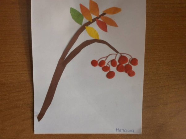 Аппликация рябина в средней группе