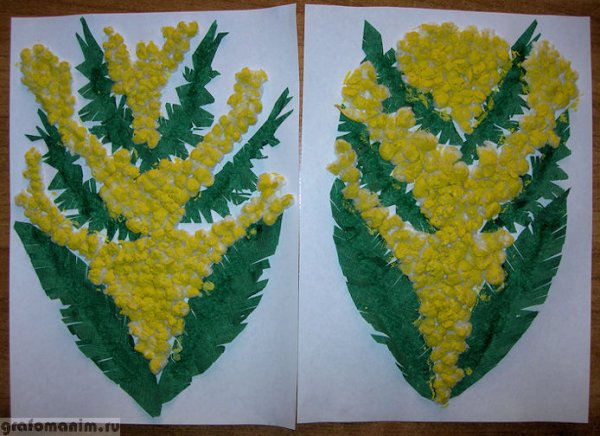 Аппликация Мимоза