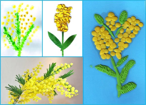 Ветка мимозы тычком