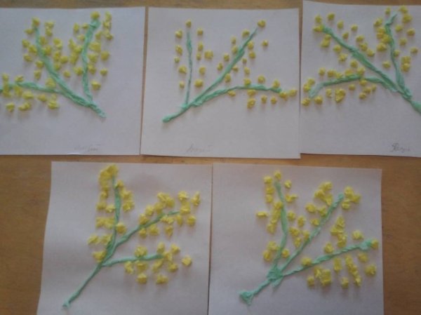 Ветка мимозы аппликация в младшей группе