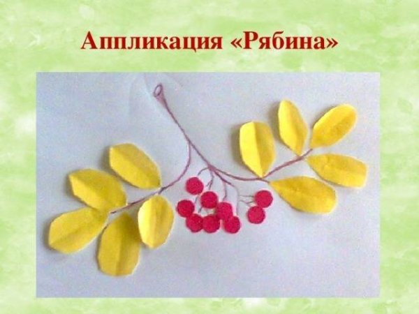 Аппликация ветка рябины в старшей группе