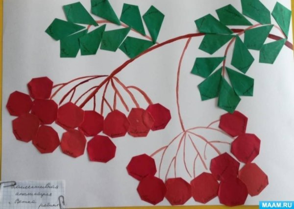 Аппликация ветка рябины в средней группе