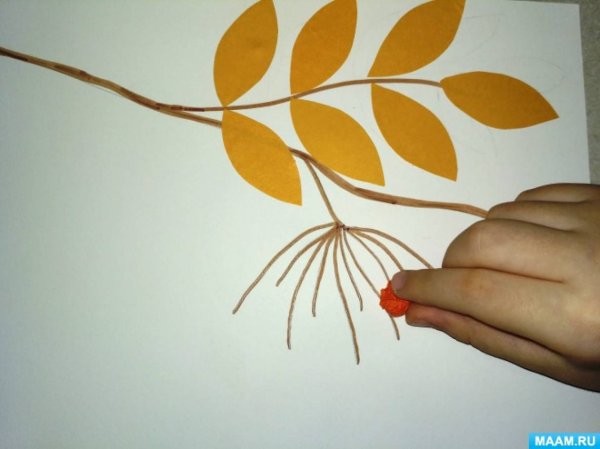 Аппликация веточка рябины