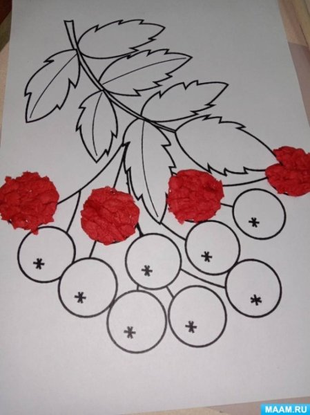 Аппликация ветка рябины в средней группе