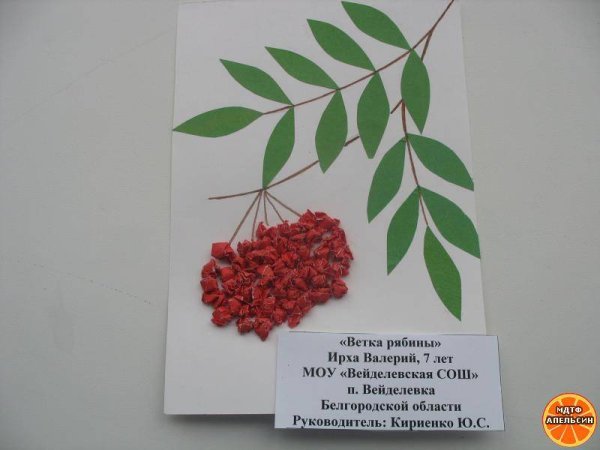 Аппликация веточка рябины