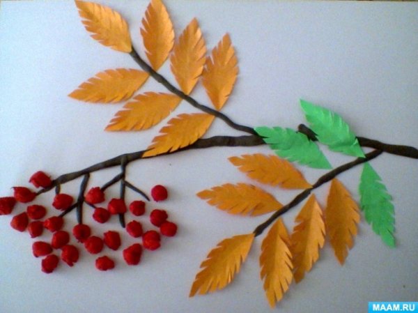 Рябина в средней группе