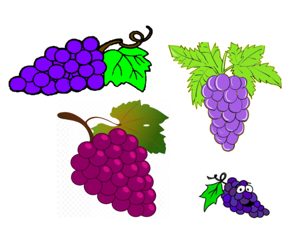 Лепка виноград