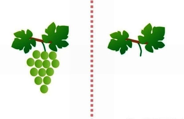 Пальчиковое рисование заготовки