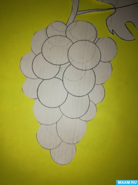 Объемная аппликация виноград