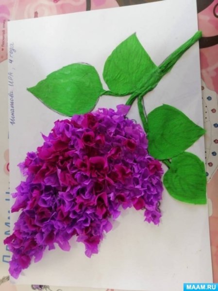 Сирень торцевание из гофрированной бумаги