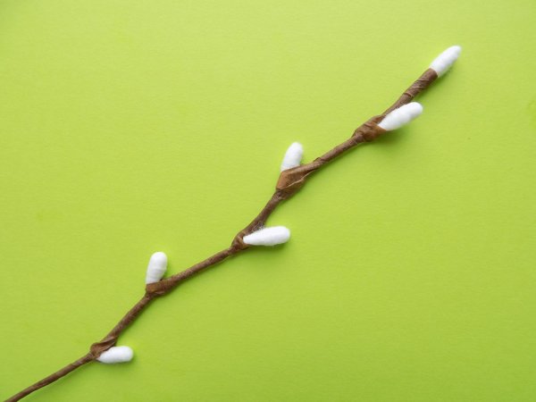 Веточка вербы из ватных палочек
