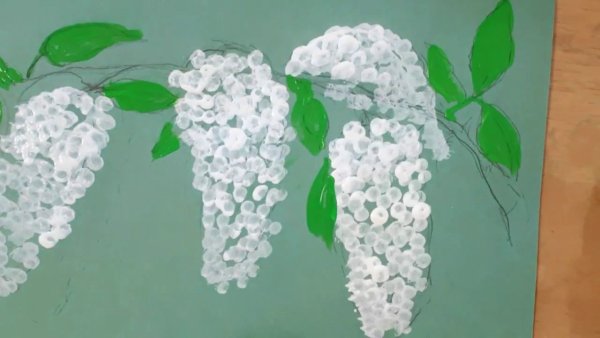 Черемуха рисунок для 3 класса