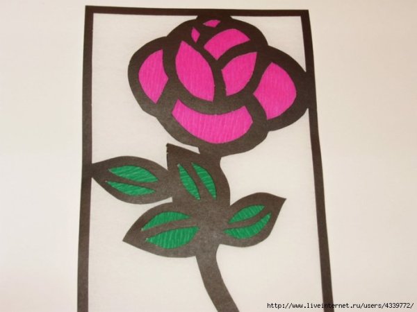 Ветраз МЗ цветной бумаги