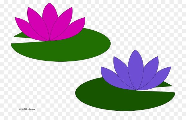 Кувшинка для вырезания