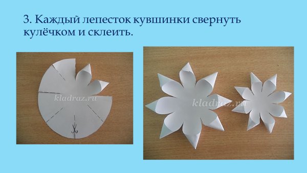 Кувшинка аппликация объемная