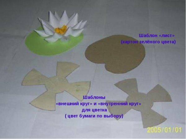 Аппликация кувшинка из бумаги